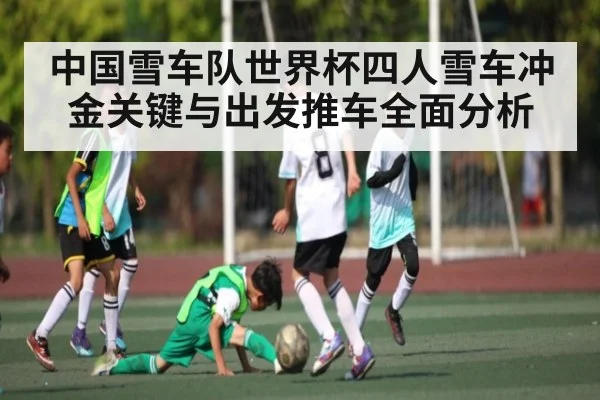 中国雪车队世界杯四人雪车冲金关键与出发推车全面分析 | kaiyun